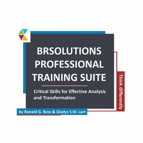 The BRSolutions Professional Training Suite